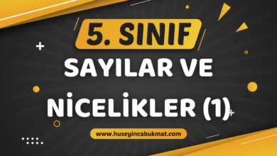 5. Sınıf 1.Tema: Sayılar ve Nicelikler (1) Konu Anlatımı