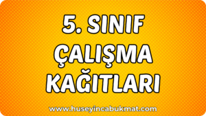 5. Sınıf