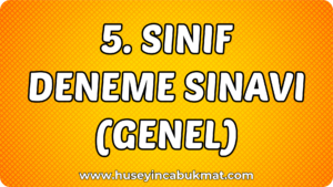 5. Sınıf