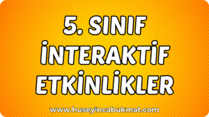5. Sınıf