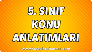 5. Sınıf