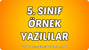 5. Sınıf