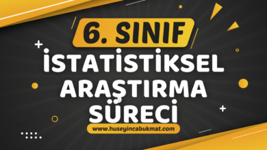 6. Sınıf 5.Tema: İstatistiksel Araştırma Süreci Konu Anlatımı