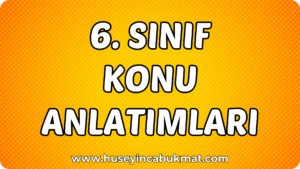 6. Sınıf