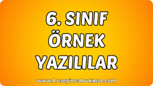6. Sınıf