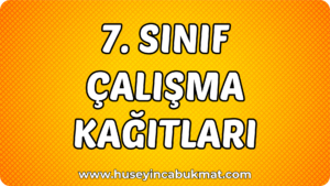 7. Sınıf