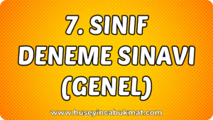 7. Sınıf