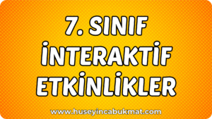 7. Sınıf