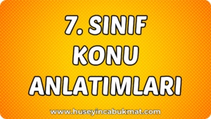 7. Sınıf