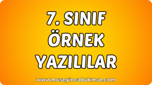 7. Sınıf