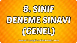 8. Sınıf