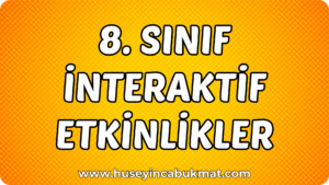 8. Sınıf