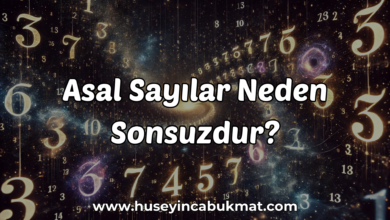 Asal Sayılar Neden Sonsuzdur?