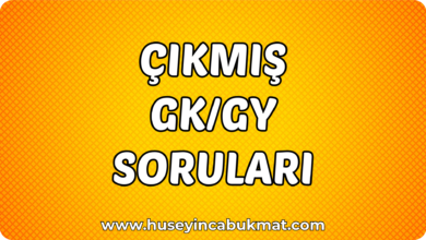 Çıkmış GK/GY Soruları