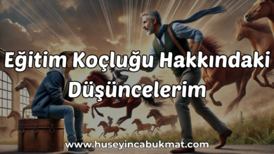 Eğitim Koçluğu Hakkındaki Düşüncelerim