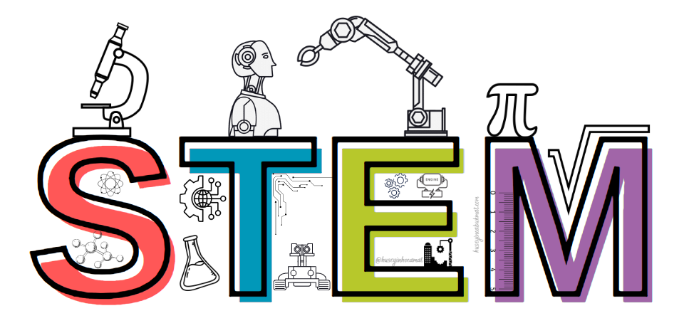 Stem Nedir?