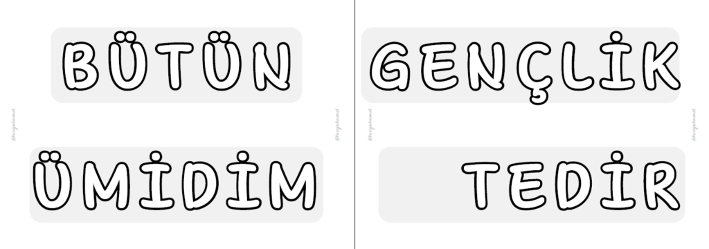 Bütün Ümidim Gençliktedir Yazısı
