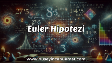 Euler Hipotezi