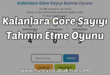 Kalanlara Göre Sayıyı Tahmin Etme Oyunu