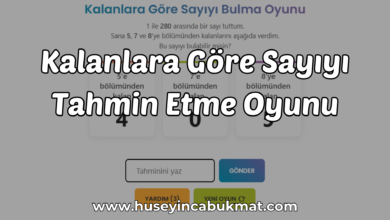 Kalanlara Göre Sayıyı Tahmin Etme Oyunu