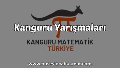 Kanguru Yarışmaları