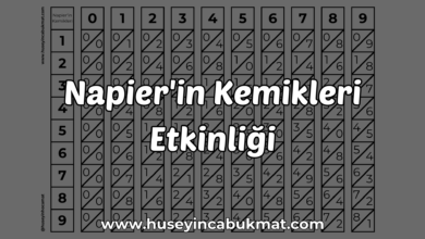 Napier'in Kemikleri Etkinliği