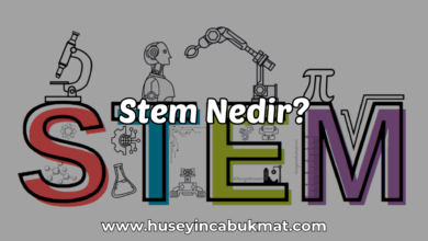 Stem Nedir?